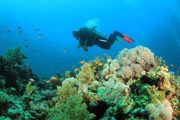 Fototapeta na wymiar Scuba diving on coral reef