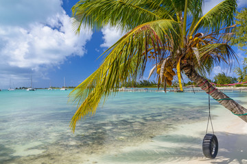 Caribbean beach landscape