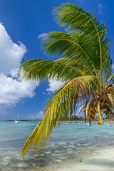 Fototapeta na wymiar Caribbean beach landscape