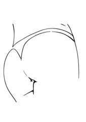 Jovens nádegas em roupa interior, vetor