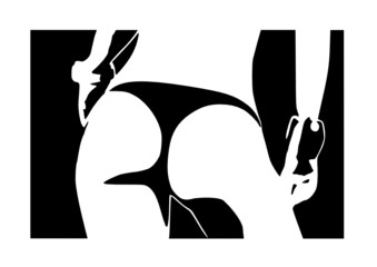 Jovens nádegas em roupa interior, vetor