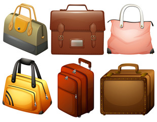 Different types of bags