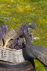 Lavendel im Korb auf Weinfass neben Metallskulptur