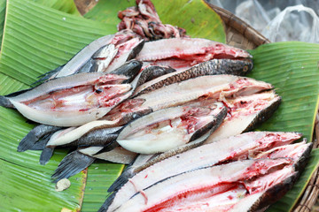 Fresh fish at the market