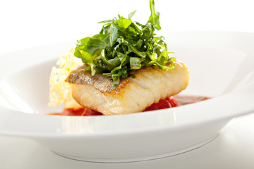 Halibut Fillet