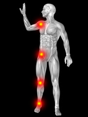 3D human man anatomy with articular pain