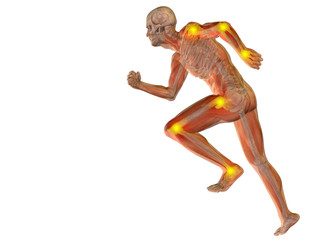 3D human man anatomy with articular pain