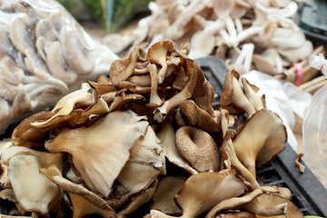 fresh mushrooms in the market