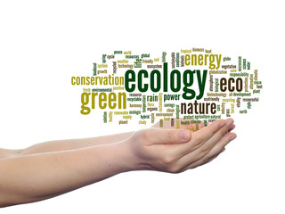 Conceptual ecology word cloud