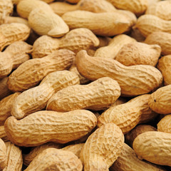 groundnut background