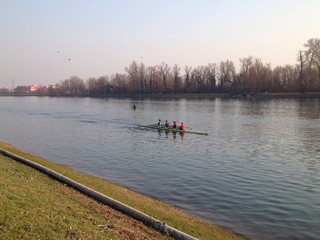 rowers © Nino Pavisic