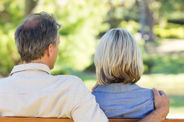 Fototapeta premium Couple relaxing in park