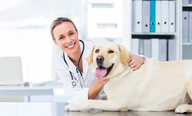 Foto op Plexiglas Female veterinarian examining dog © WavebreakMediaMicro