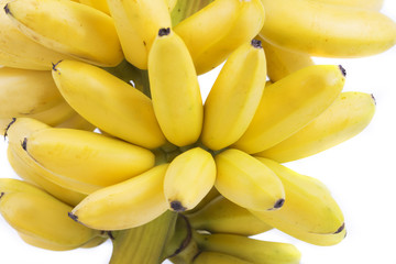 Banana bunch cluster