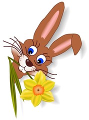Osterhase mit Narzisse