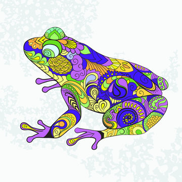 Colored frog, toad. Decorative pattern.