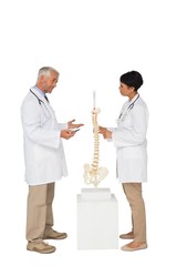 Fototapeta premium Two doctors discussing besides skeleton model