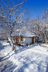 rural scene in Ukraine