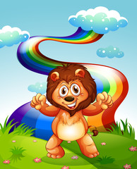 Obraz na płótnie Canvas A happy lion at the hilltop with a rainbow in the sky