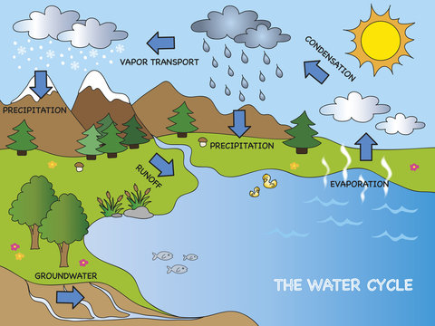 Water cycle drawing l How to draw watercycle for school project | water  cycle easydrawinglwatercycle - YouTube