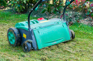 lawn aerator removing moss from garden.