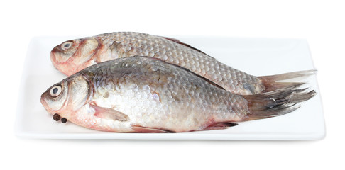 Fresh fishes on plate isolated on white