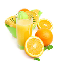 Citrus press and oranges isolated on white