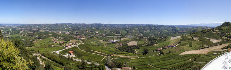 Fototapeta na wymiar panoramique des Vignes w Piemont Morra italie