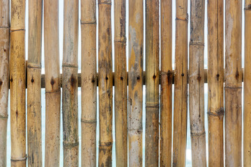 Fence of dry bamboo