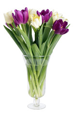 bouquet from yellow purple tulips in a vase isolated on white