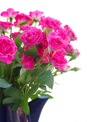 bouquet of blossoming pink roses