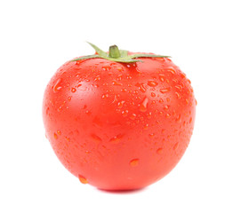 Fresh tomato with water drops.