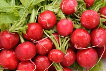 rapanelli crudi su un tavolo di legno