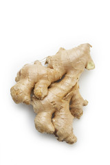 ginger on white back ground