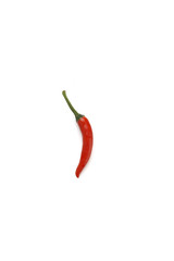 one red chili on white background
