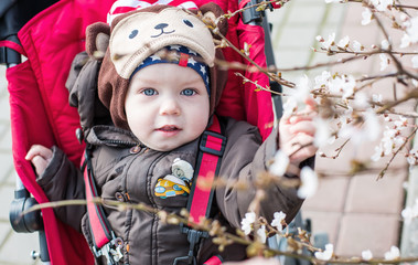 Adorable baby boy in a stroller
