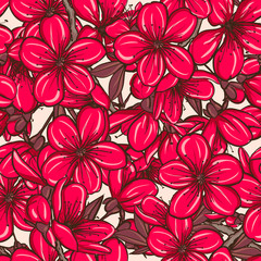 Seamless pattern with cherry blossom