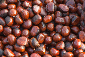 Conker background