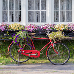 Red vintage bicycle