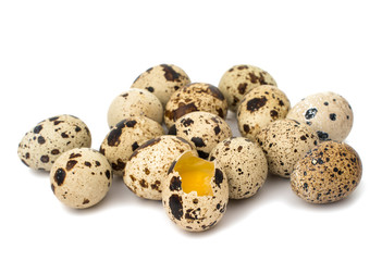 Obraz premium quail eggs