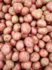 Beautiful selection of potatoes at the farmers market.