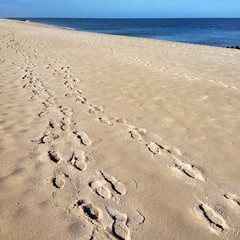 fußspuren am weststrand von sylt