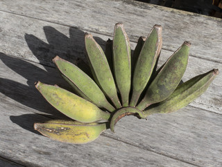 Hand of home grown Bananas New Zealand