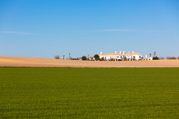 Fototapeta na wymiar South Spain Rural Landscape with House and Green Field
