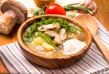 Mushroom vegetable soup