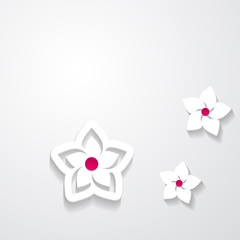white background with paper flowers