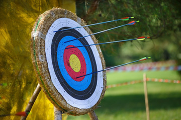 Arrows missed target. concept of fail-diligent - 62540535