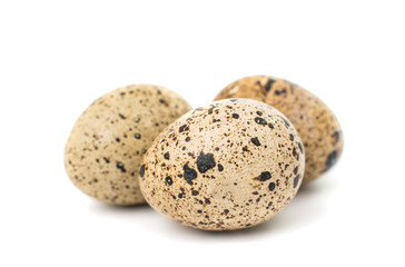 quail eggs