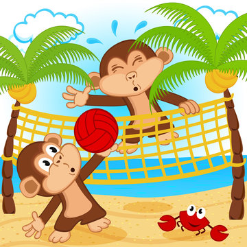 monkeys playing in beach volleyball - vector illustration