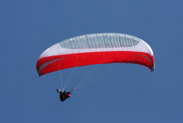 paraglider